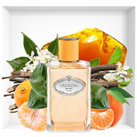 Prada mandarin citrus